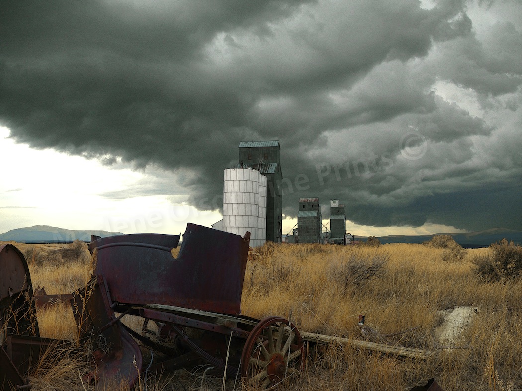 Broadview by Marlene Olson