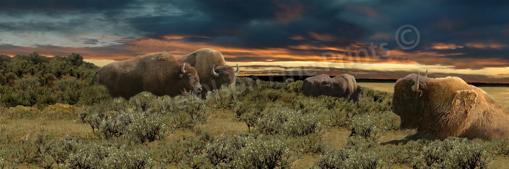 Prairie Twilight by Marlene Olson