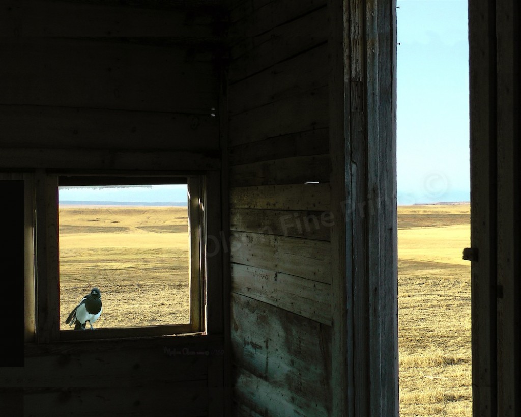 The Back Door by Marlene Olson American Western Landscapes by Marlene Olson – The Back Door