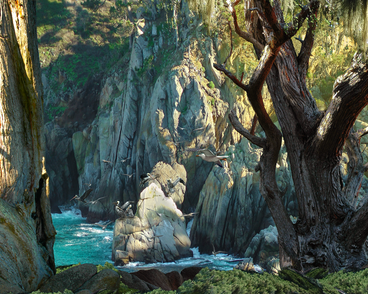 Point Lobos Cove by Marlene Olson